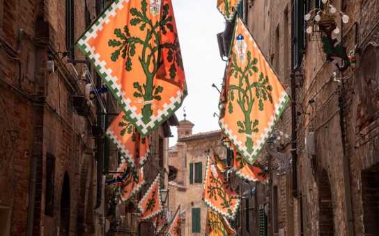 First Day in Siena: Orientation in the Campo & Beyond