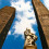 Your Perfect First Day in Bologna: Porticoes, Markets & Local Flow
