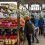 Your Perfect First Day in Bologna: Porticoes, Markets & Local Flow