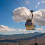 Essential Medellin: Famous Sights & Local Secrets