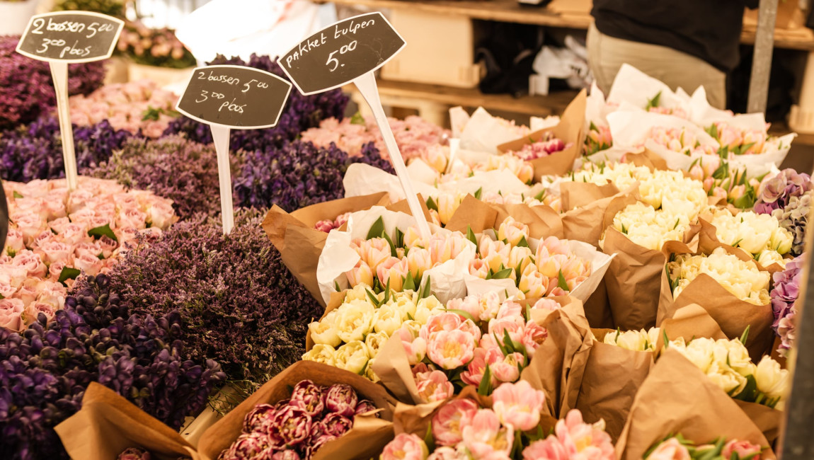 City Unscripted experience hero image 3