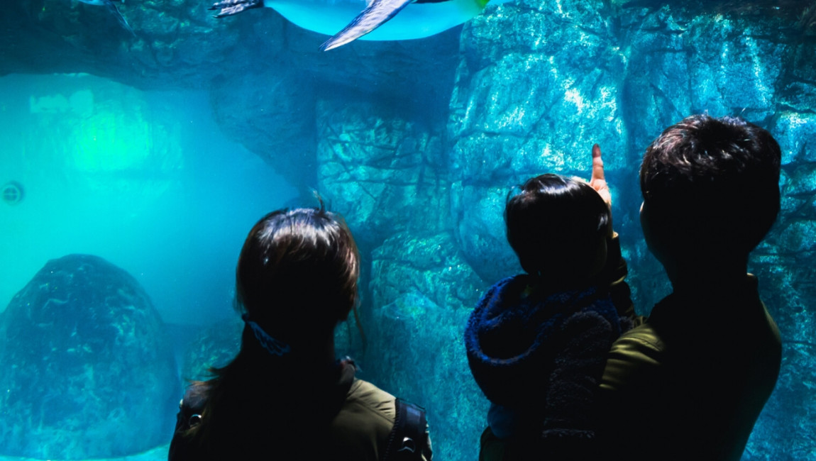 City Unscripted experience hero image 1