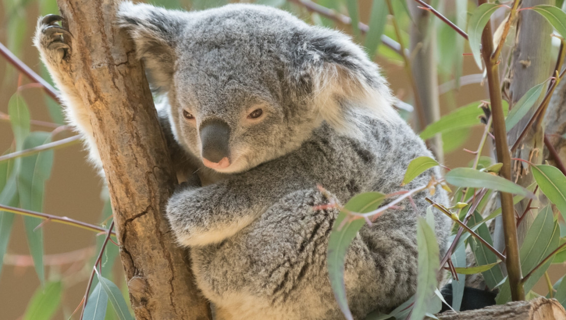 City Unscripted experience hero image 6