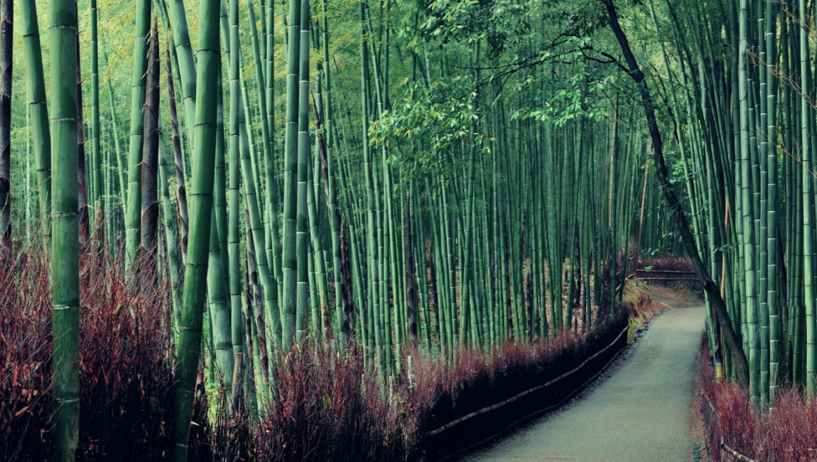 City Unscripted experience hero image 3