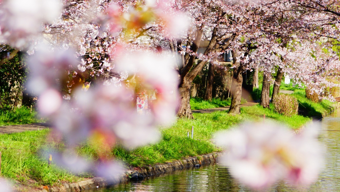 City Unscripted experience hero image 5