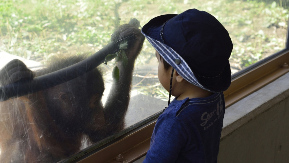 City Unscripted experience hero image 4