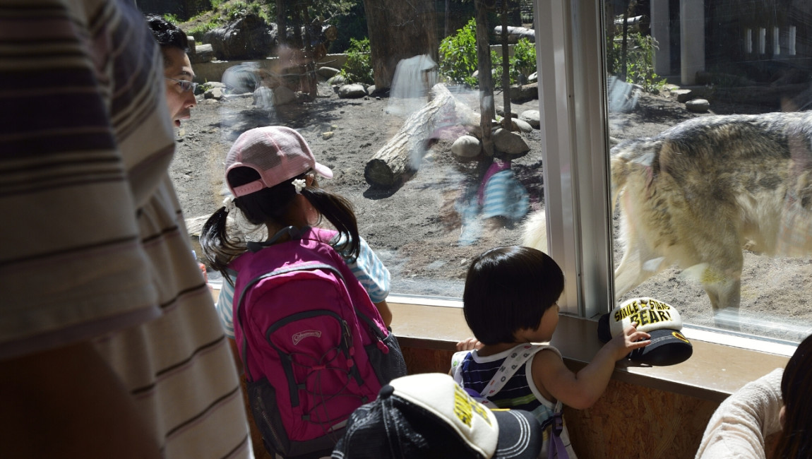 City Unscripted experience hero image 5