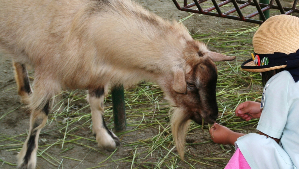 City Unscripted experience hero image 7