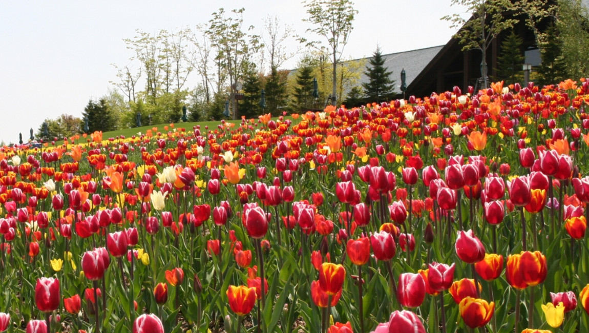 City Unscripted experience hero image 10