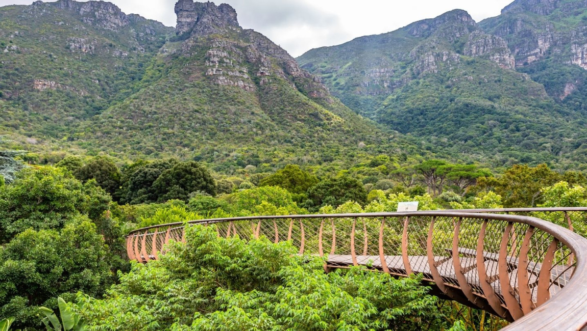 Big Ben to Tower Bridge