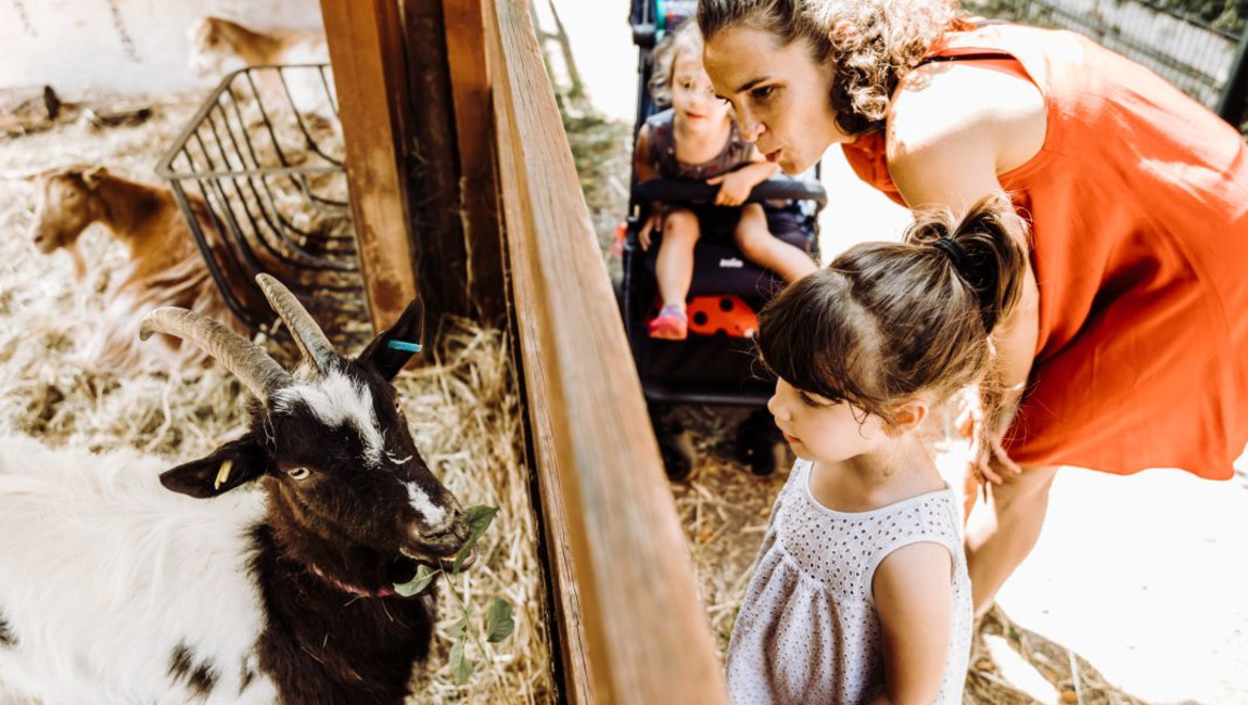 Big Ben to Tower Bridge