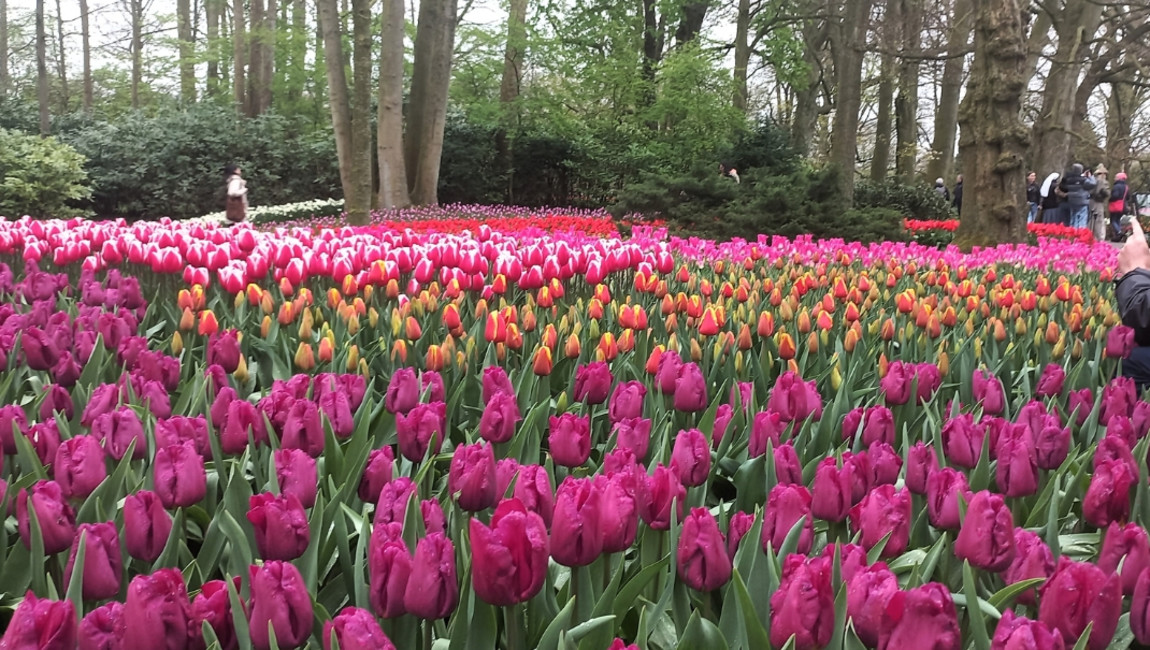 Big Ben to Tower Bridge