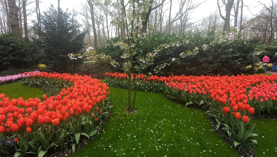 Big Ben to Tower Bridge