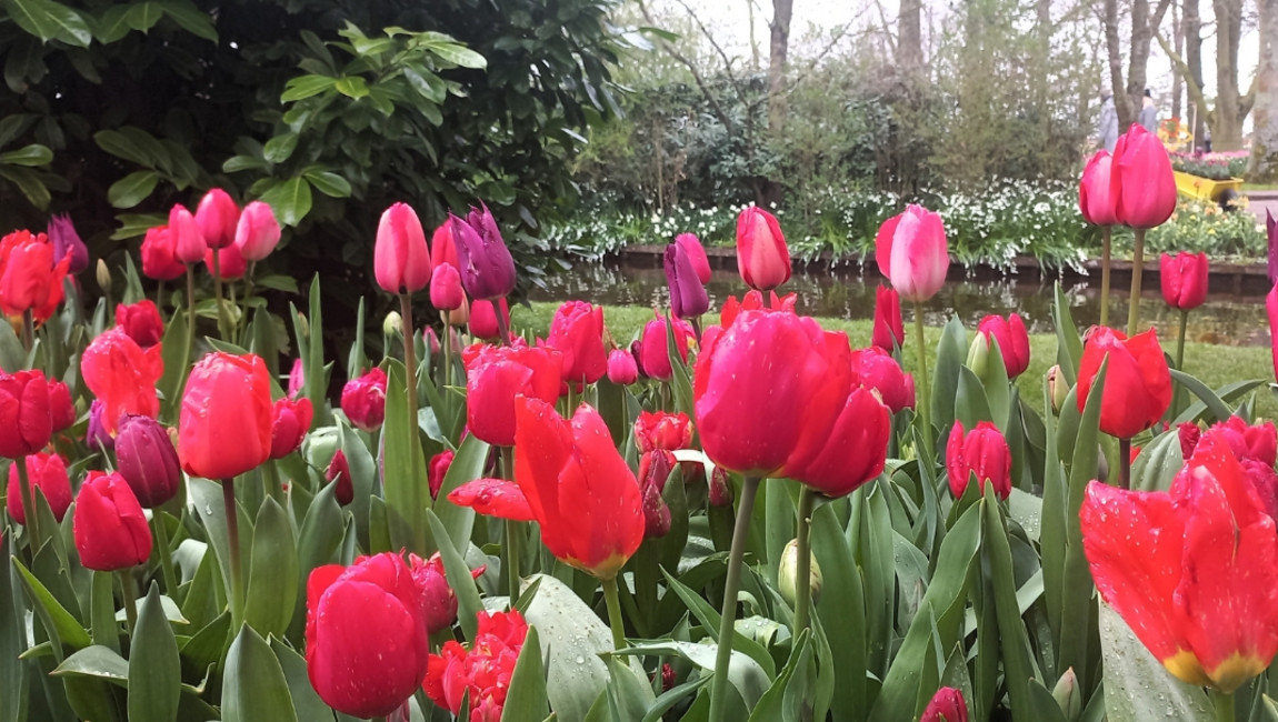 Big Ben to Tower Bridge