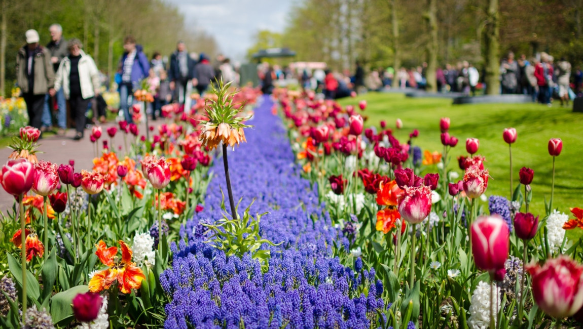 Big Ben to Tower Bridge
