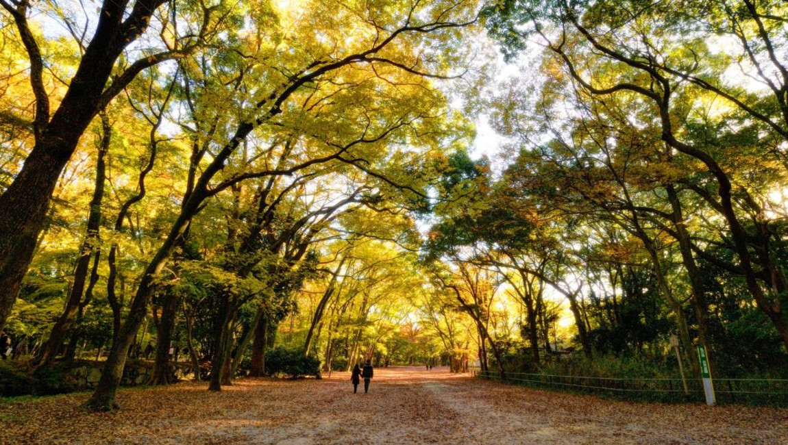 City Unscripted experience hero image 7