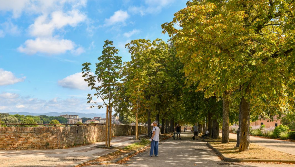 City Unscripted experience hero image 1