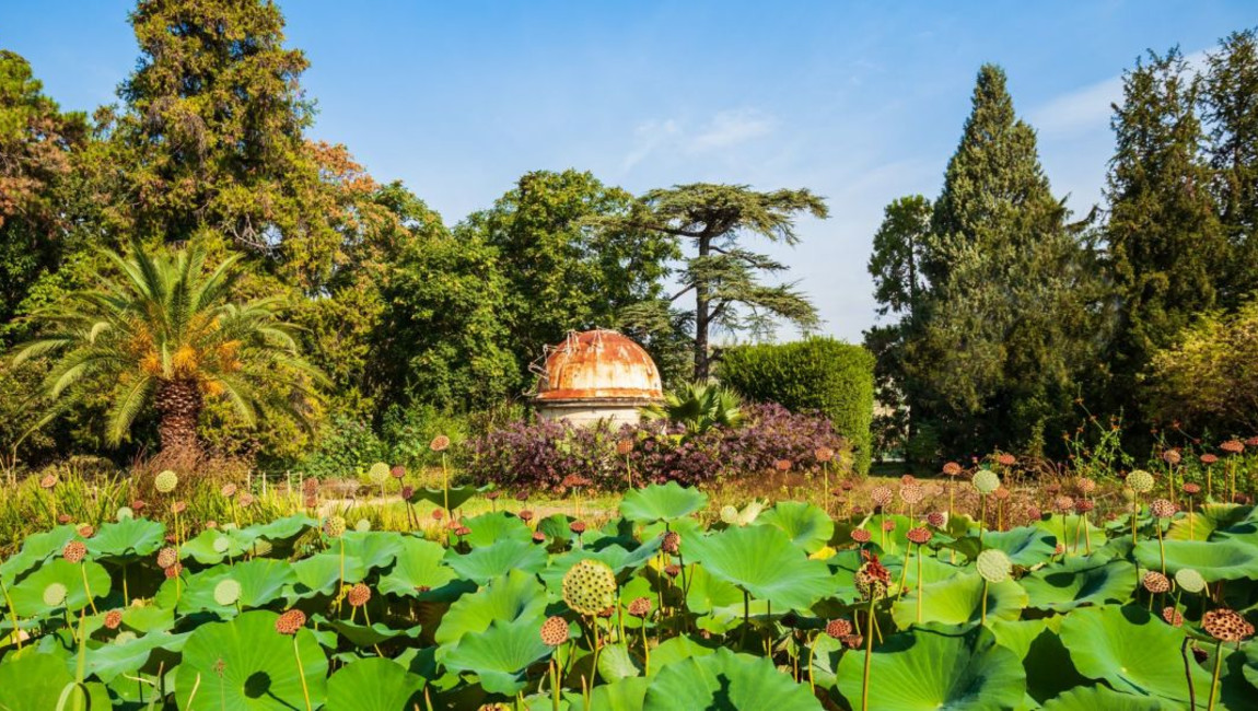 City Unscripted experience hero image 7