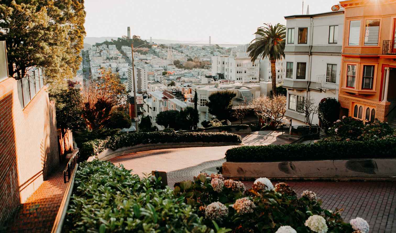 Lombard Street in San Francisco with a view of Coit Tower.