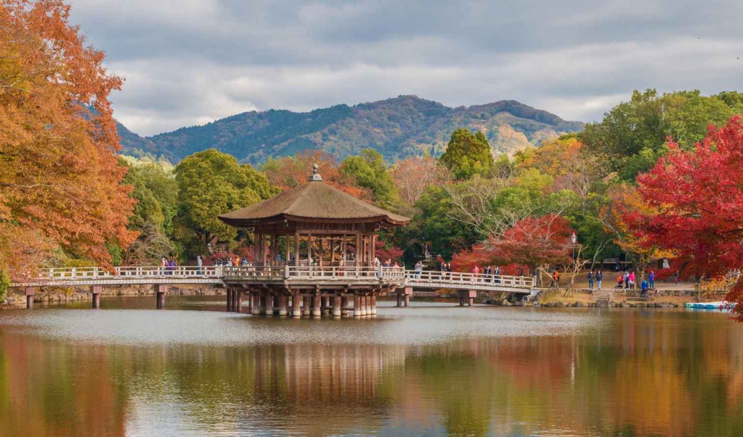 A gazebo on a pond with autumn trees in Nara Park, Japan.