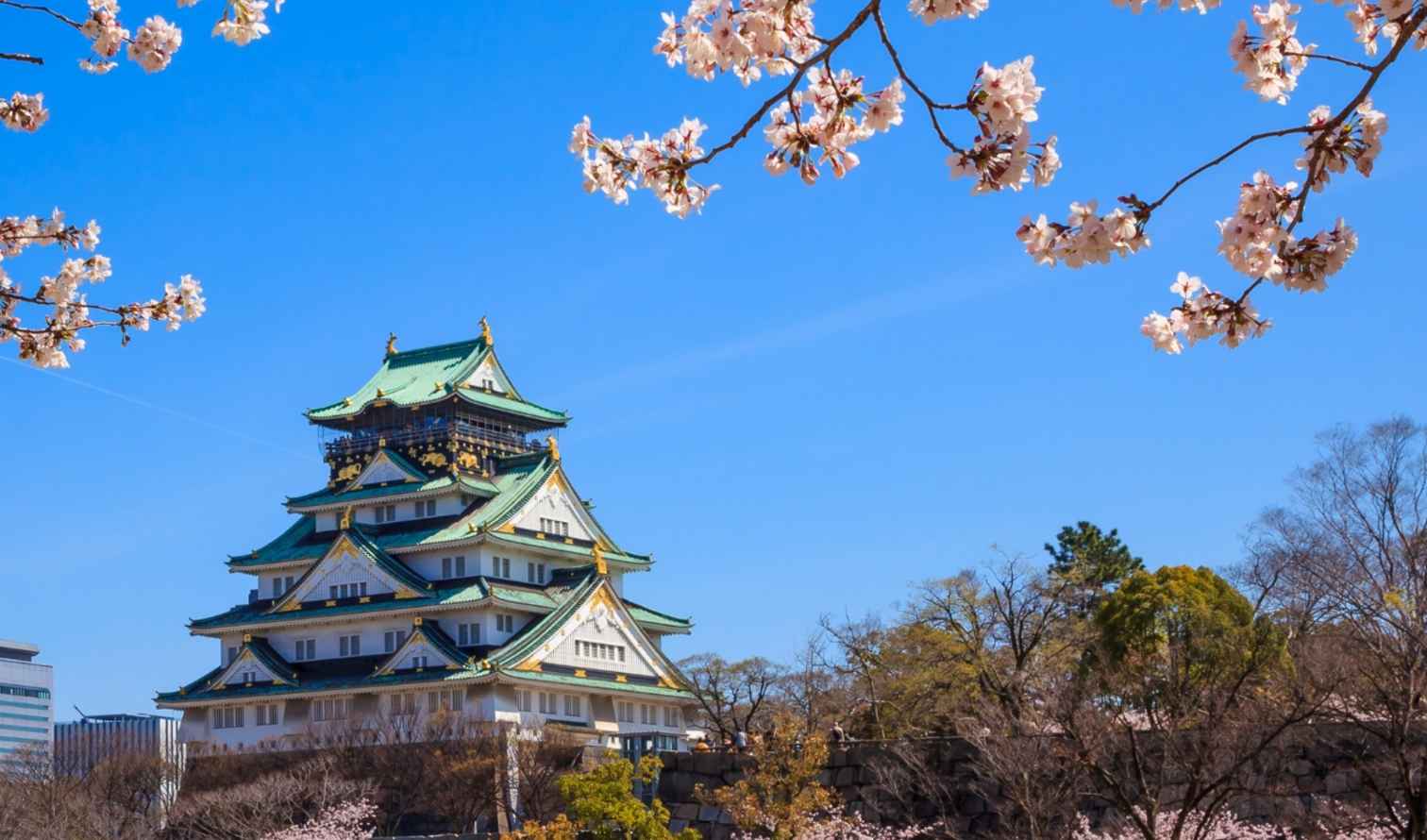 Cherry blossom branches framing Osaka Castle in Japan.
