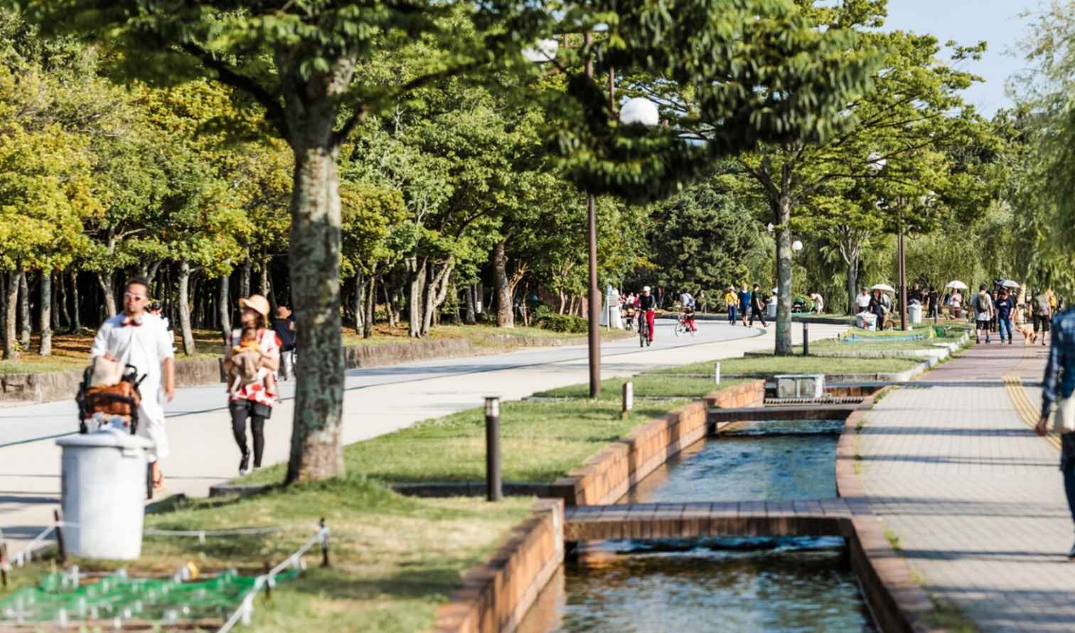 A tree-lined park walkway with people walking and cycling in Fukuoka
