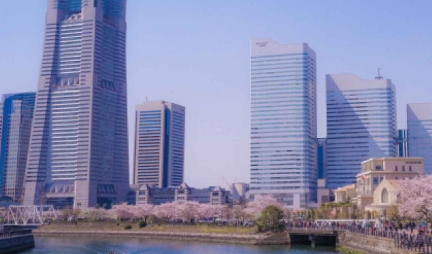 Yokohama Landmark Tower with cherry blossoms in front.