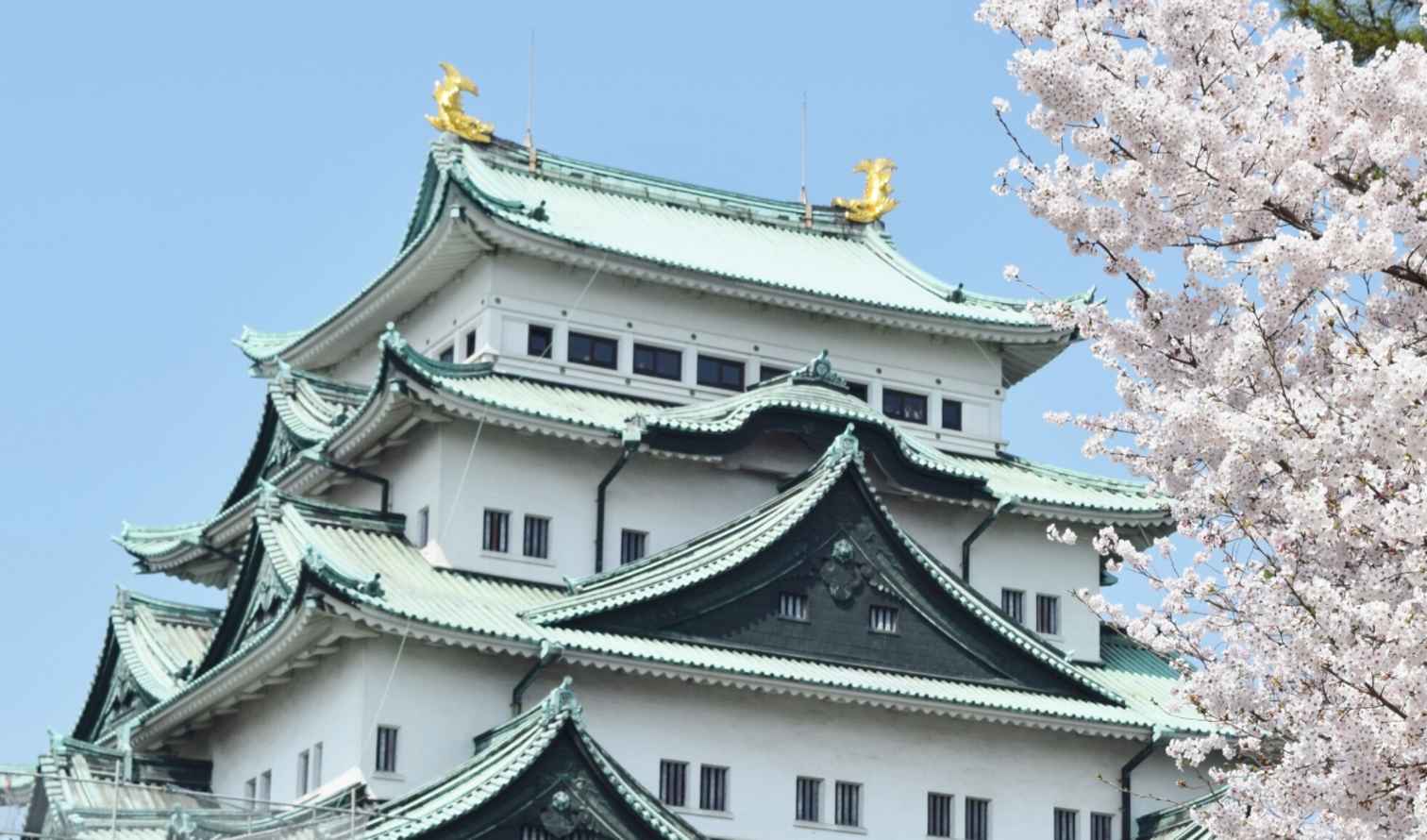 Nagoya Castle with a cherry blossom tree in the foreground.