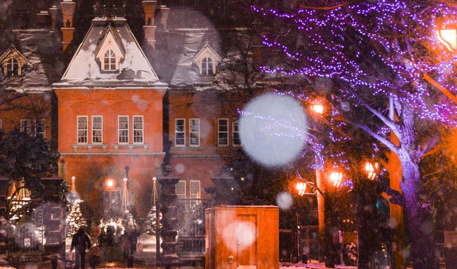 Historical brick building with snow and purple-lit trees at night in Sapporo