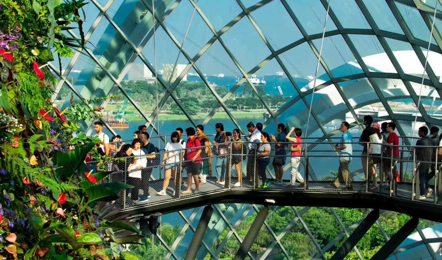 Visitors observing plants inside the Cloud Forest conservatory, Singapore.