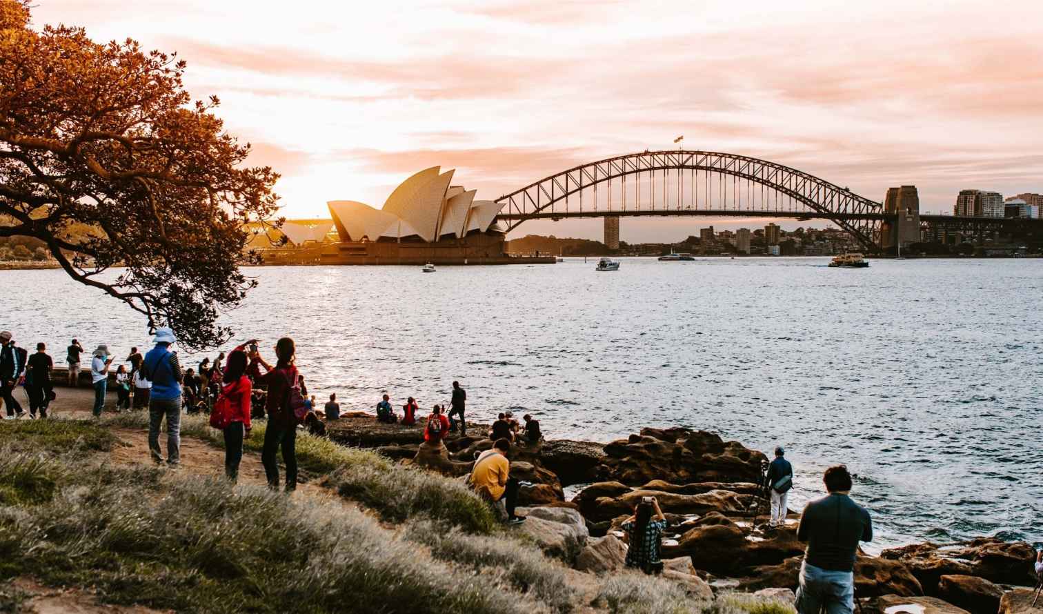 Sydney Opera House and Harbour Bridge viewed from a hillside path.