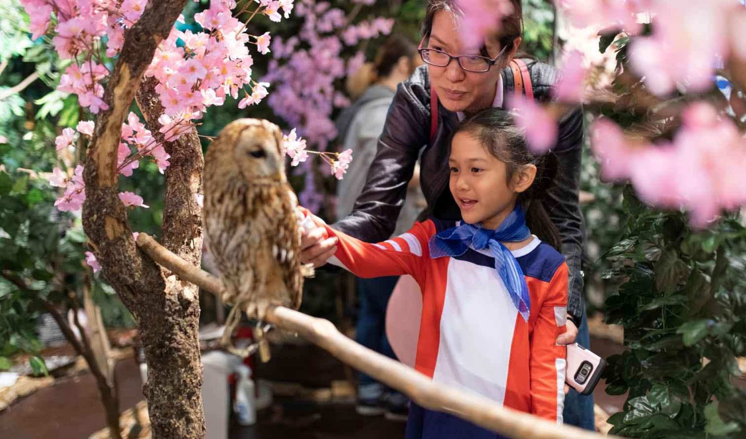 A child and adult admire an owl on a branch with cherry blossoms in Tokyo