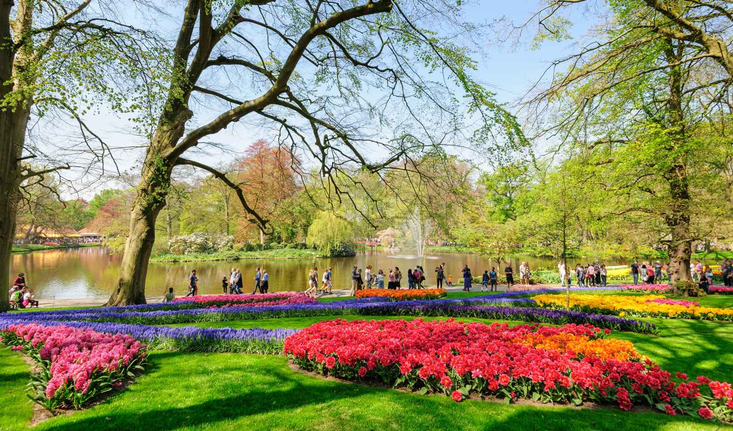Keukenhof Gardens with colorful tulip beds and a pond in the background.