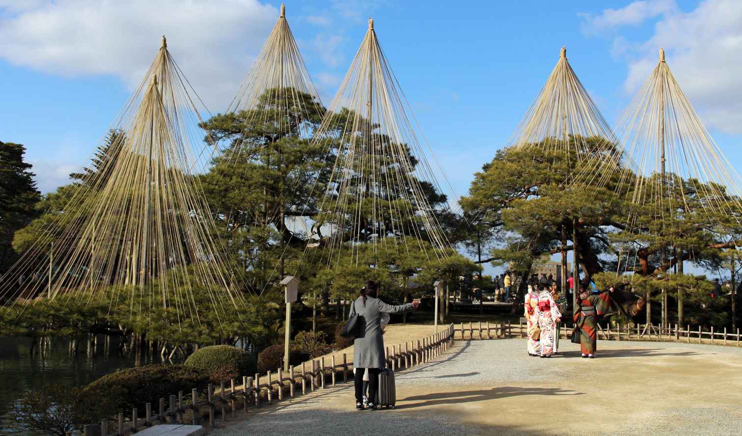 People walking near pine trees with rope supports at Kenrokuen Garden, Japan.
