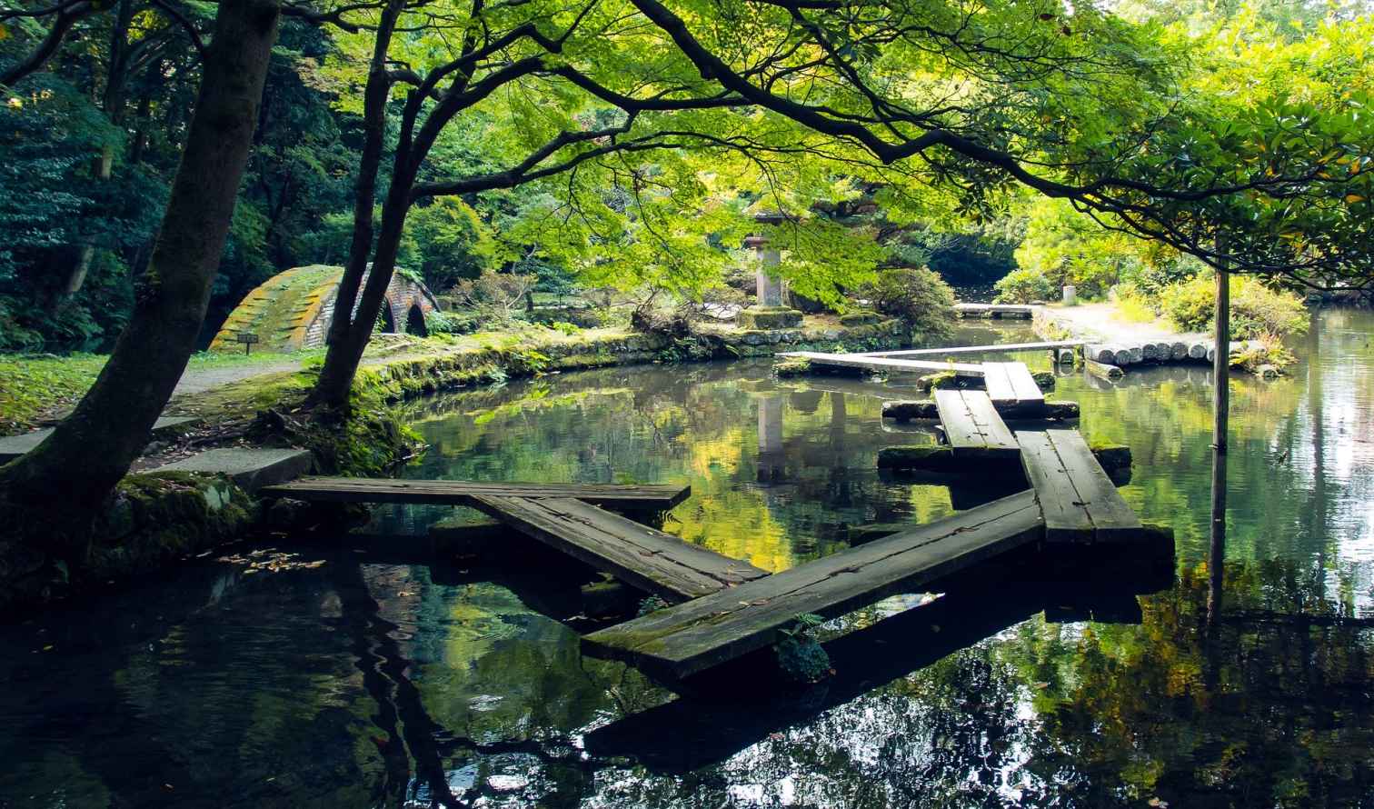 Wooden bridges cross over a pond in a Japanese garden in Kanazawa