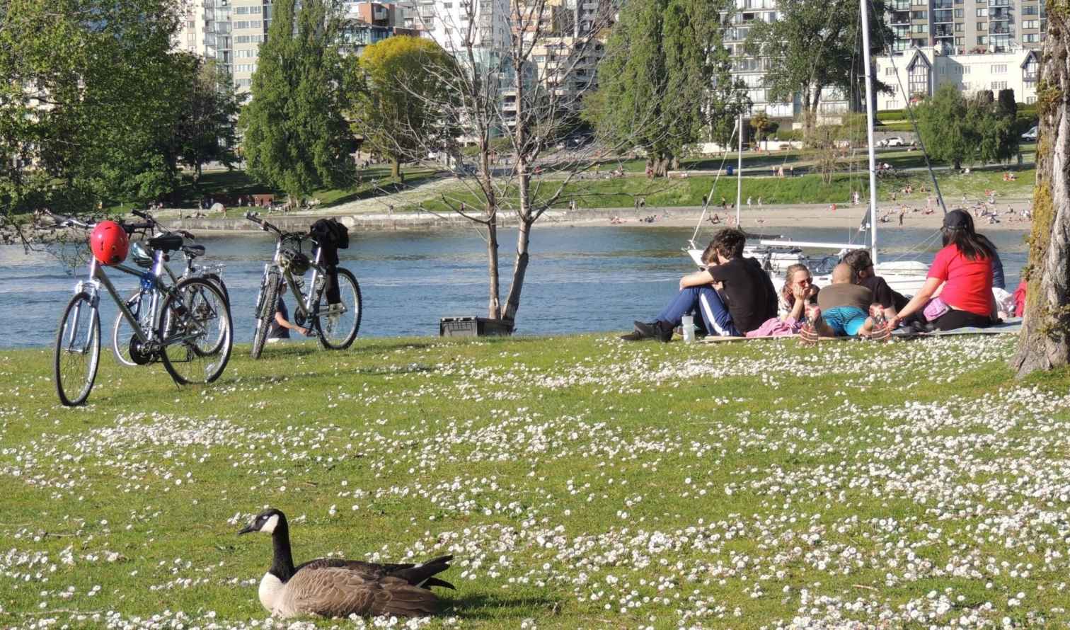 Big Ben to Tower Bridge