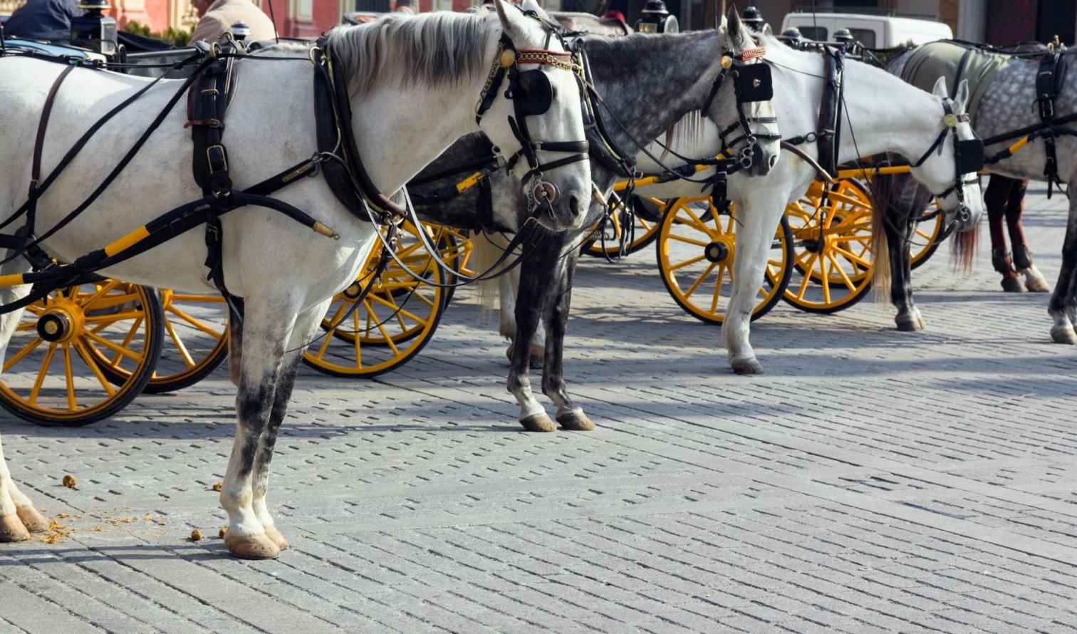 Big Ben to Tower Bridge