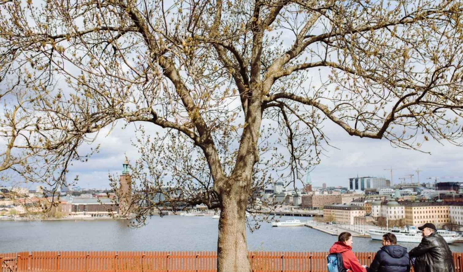 Big Ben to Tower Bridge