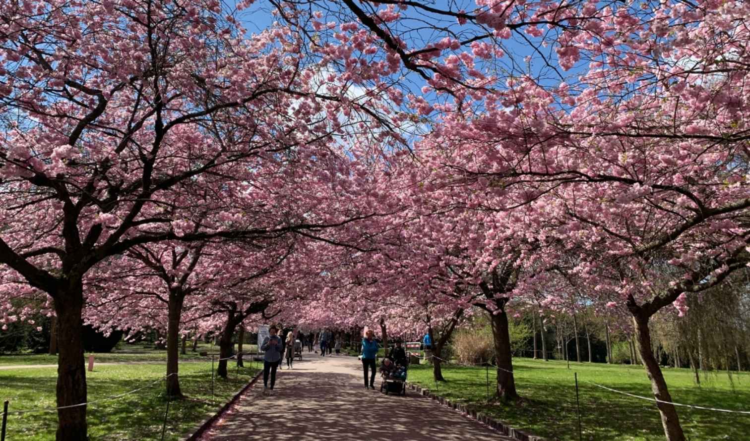 Big Ben to Tower Bridge