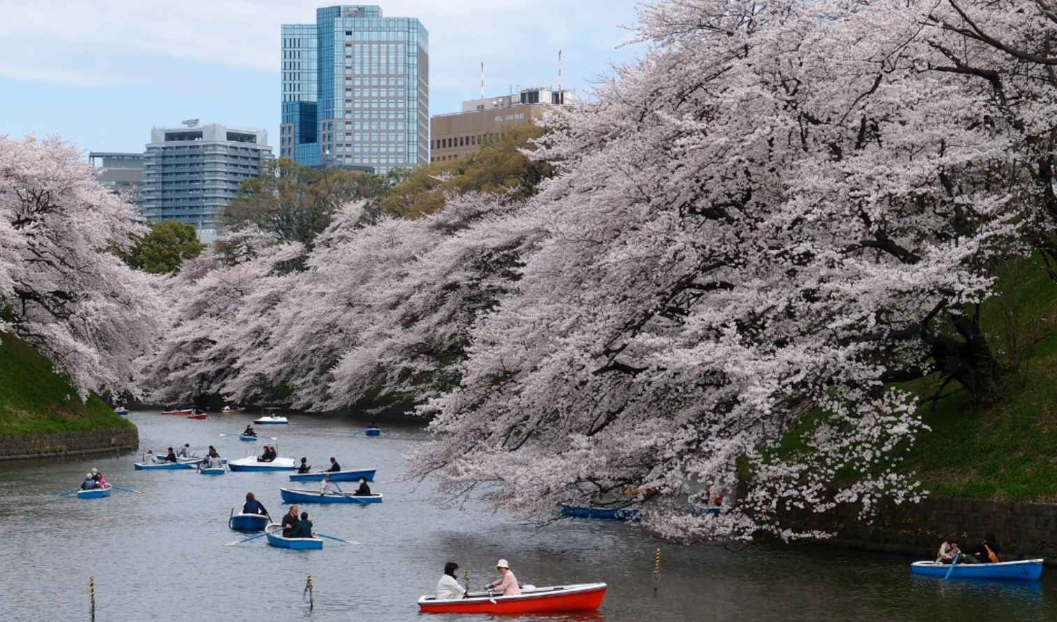 Big Ben to Tower Bridge