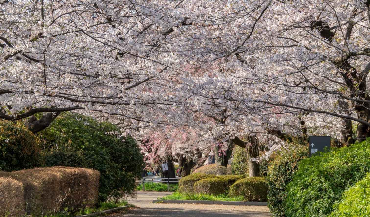 Big Ben to Tower Bridge