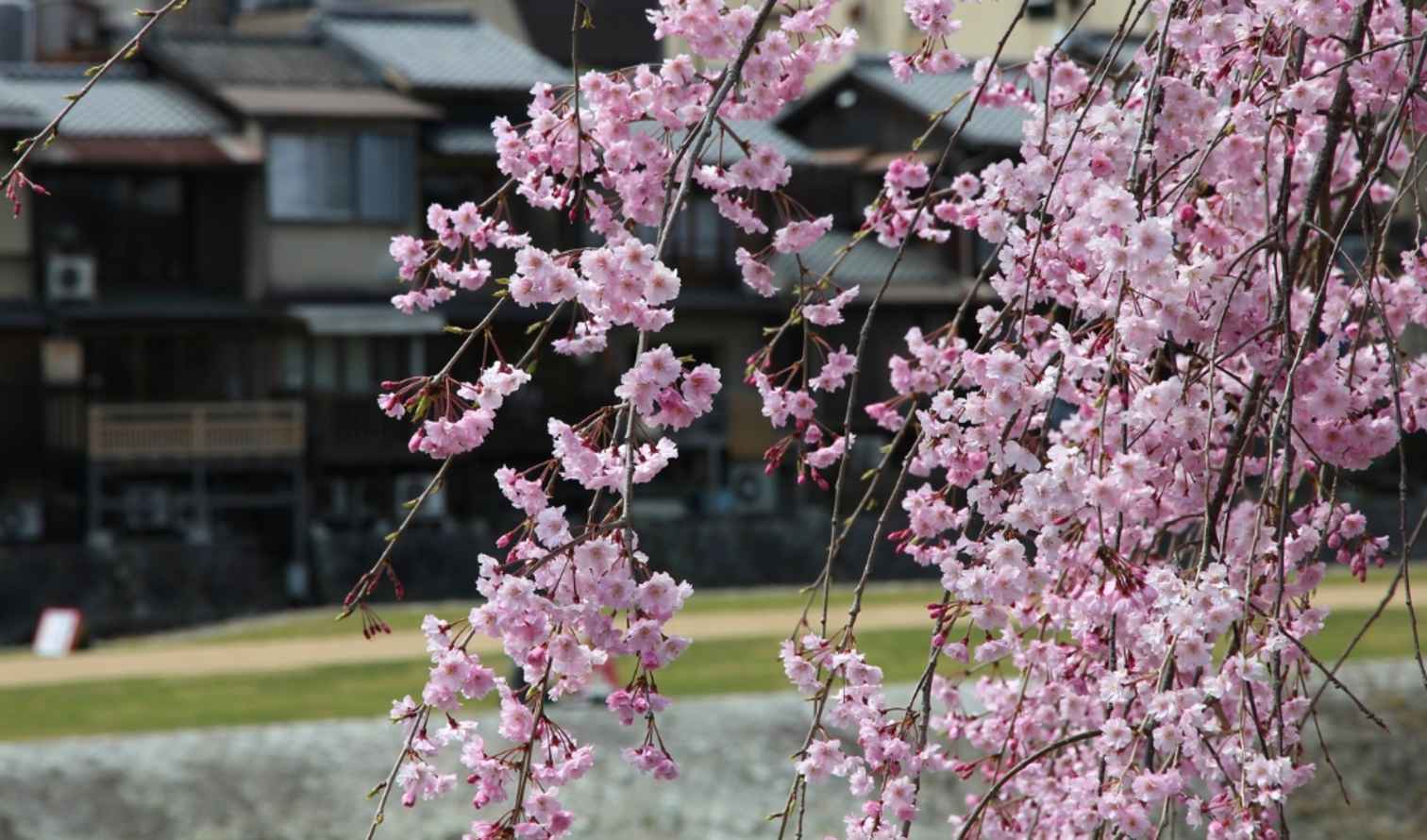 Big Ben to Tower Bridge