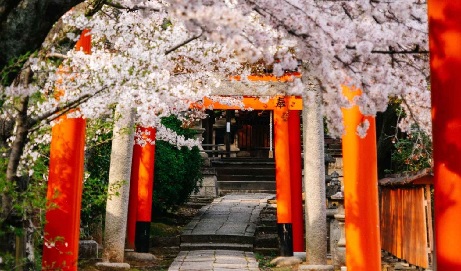Big Ben to Tower Bridge
