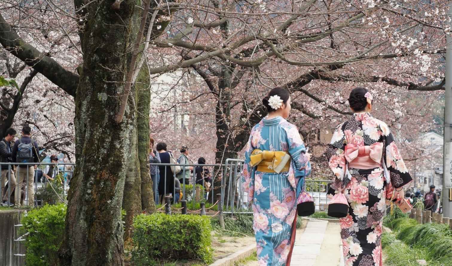 Big Ben to Tower Bridge