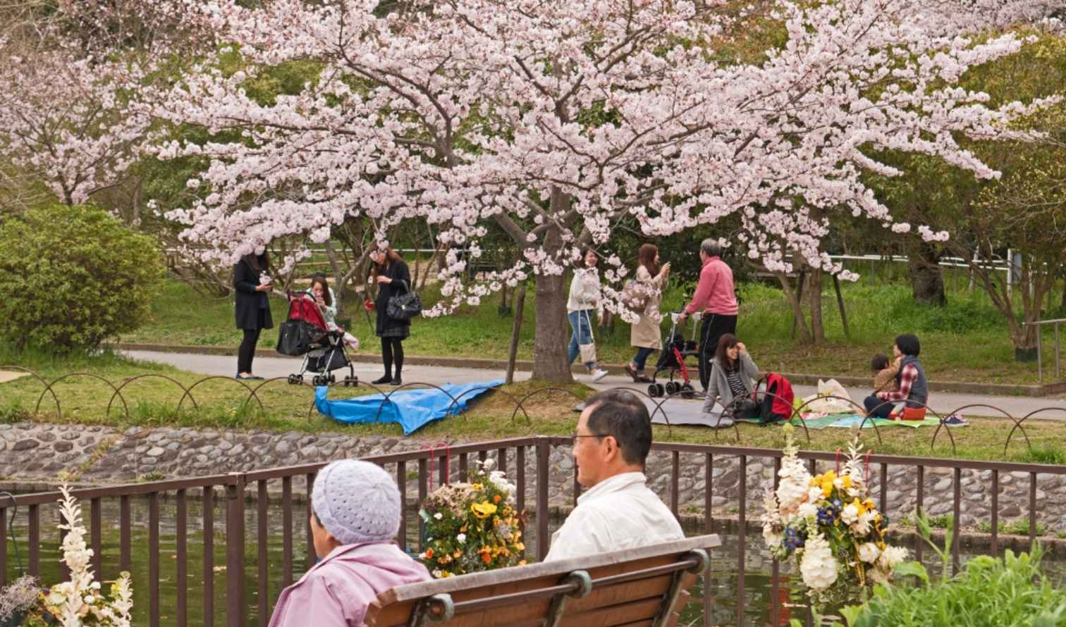 Big Ben to Tower Bridge