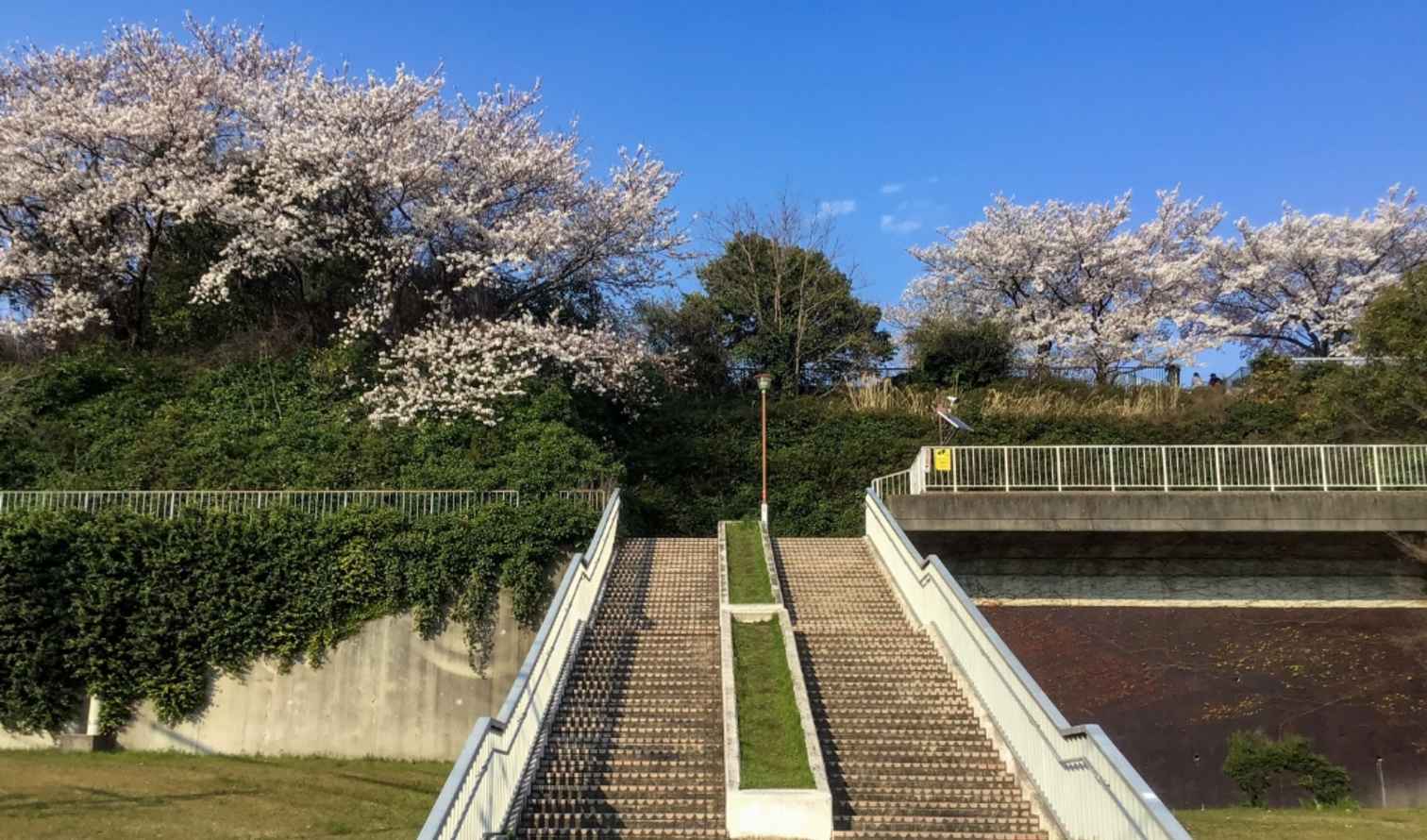 Big Ben to Tower Bridge