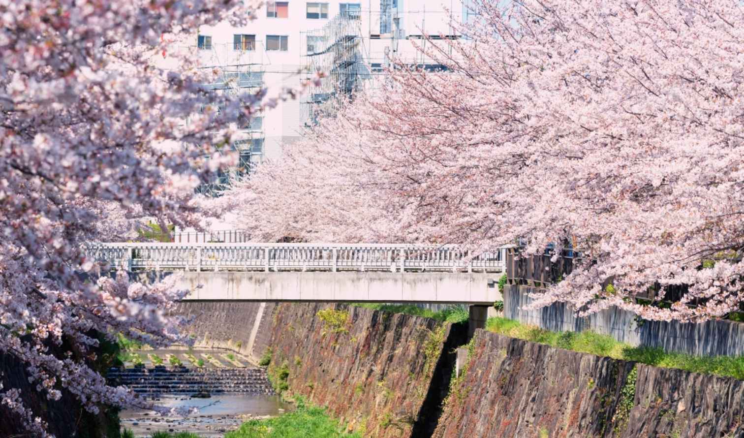 Big Ben to Tower Bridge