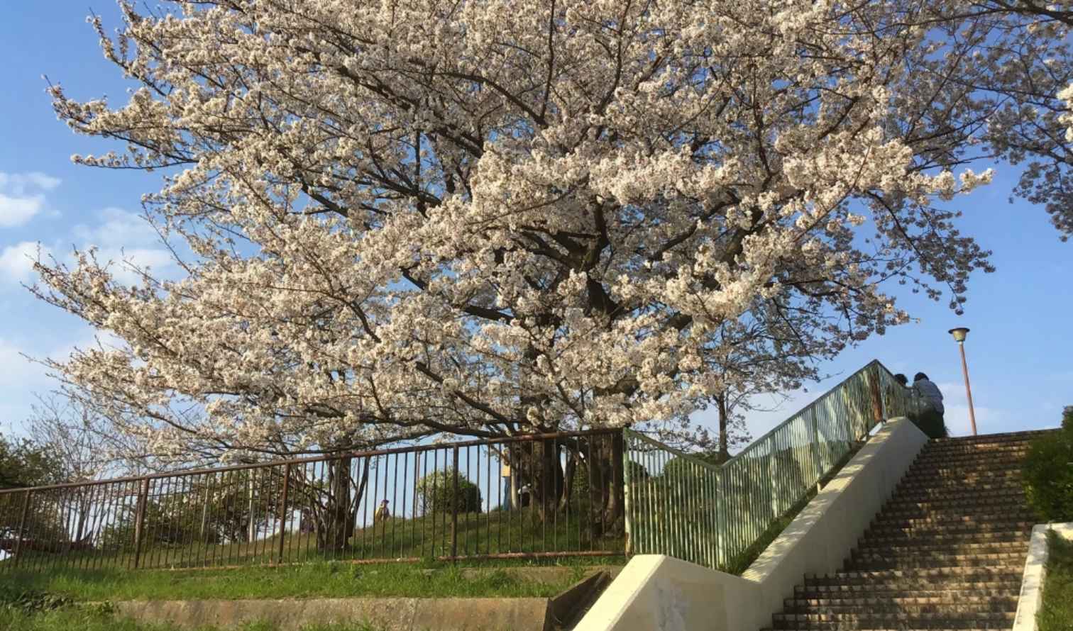 Big Ben to Tower Bridge