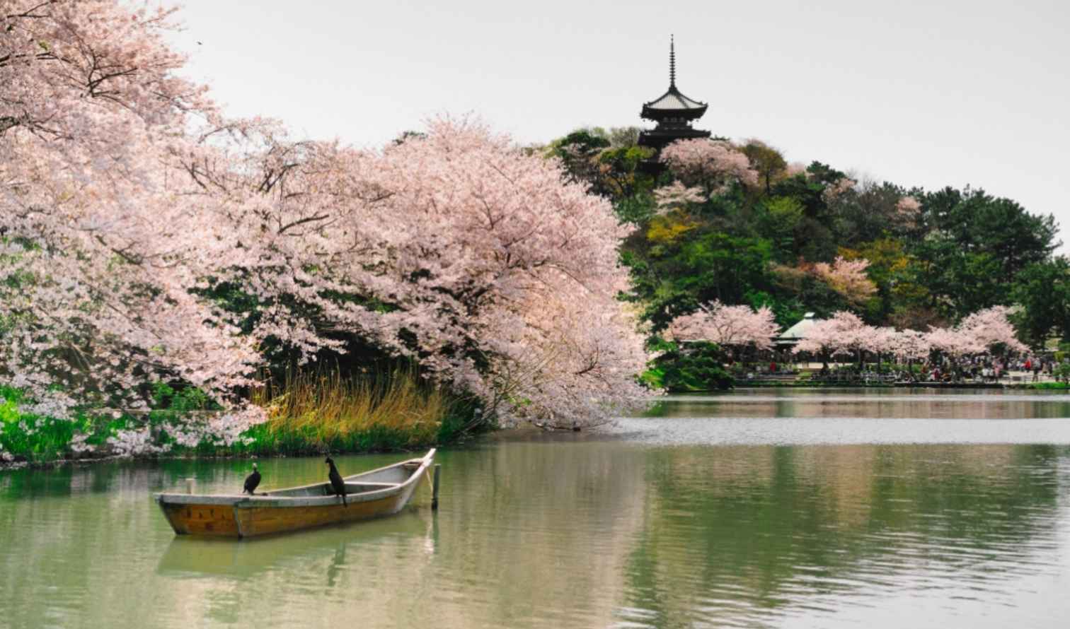 Big Ben to Tower Bridge
