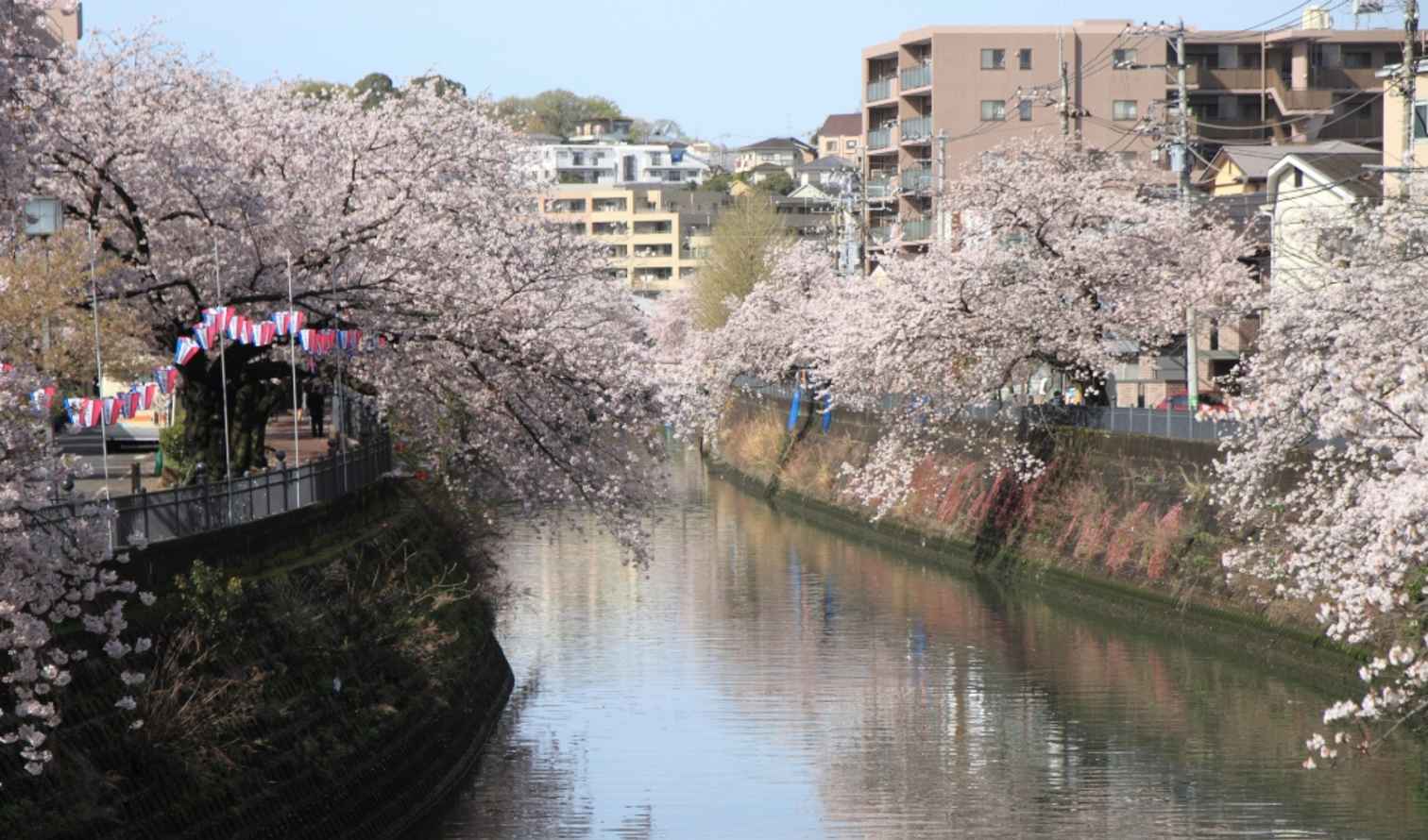 Big Ben to Tower Bridge